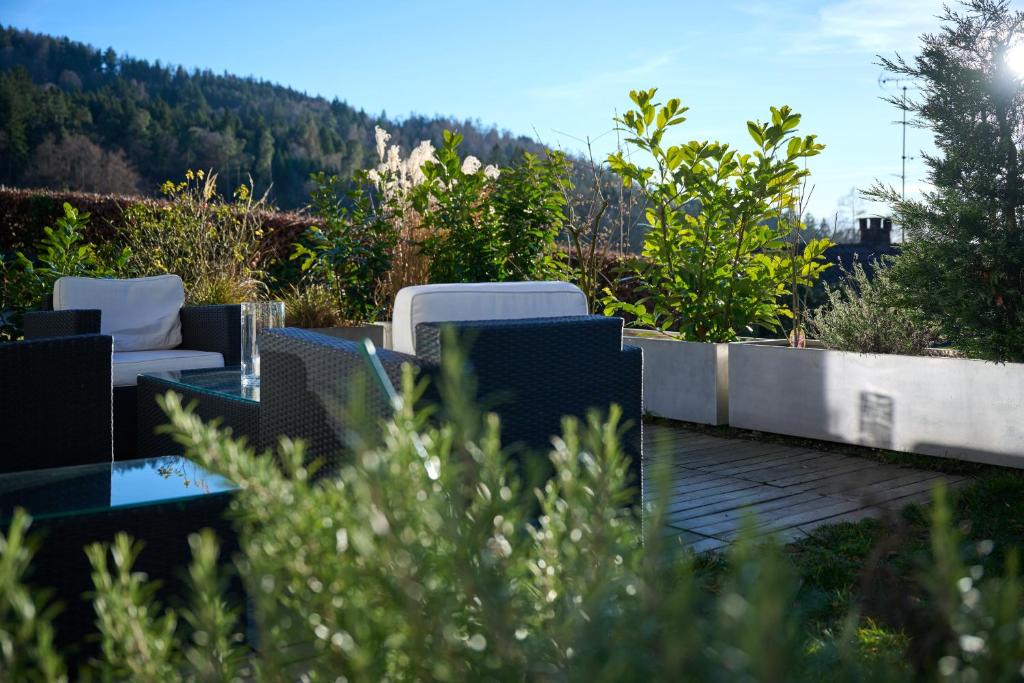 Charmantes Apartment im Grünen