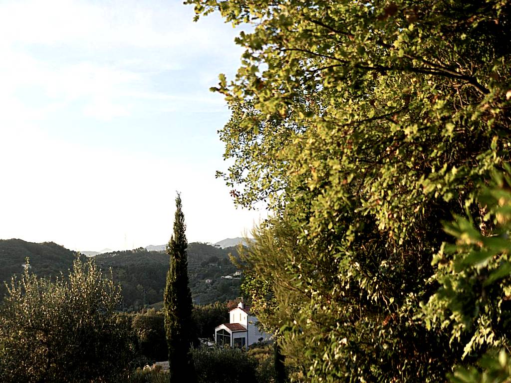 B&B La Fustaia