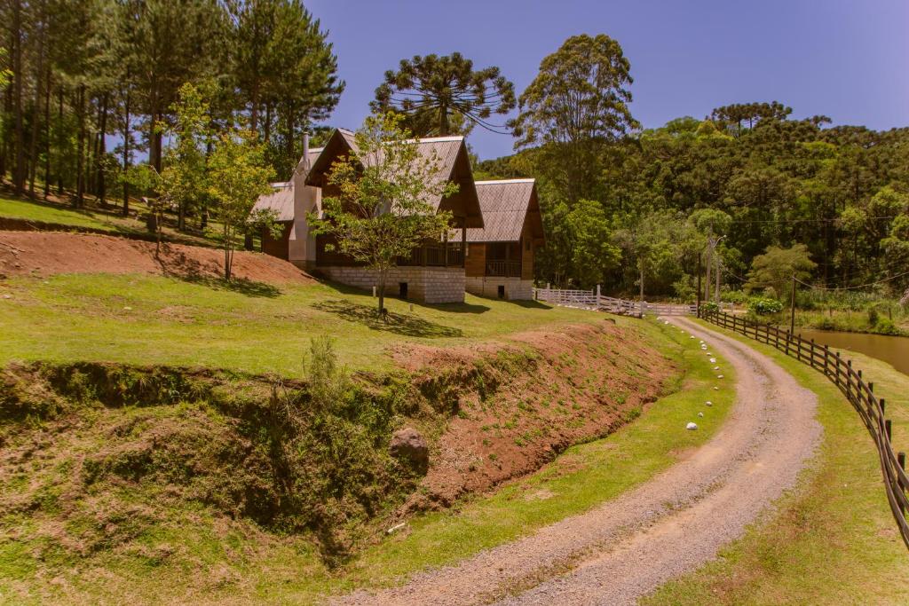 Leão De Judá