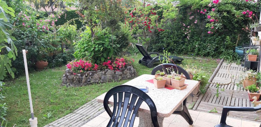 Appartement 3 étoiles avec jardin privatif et parking