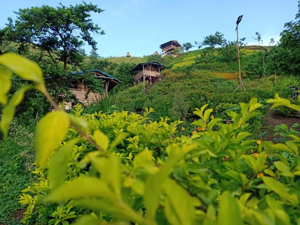 MIRA AgroPark