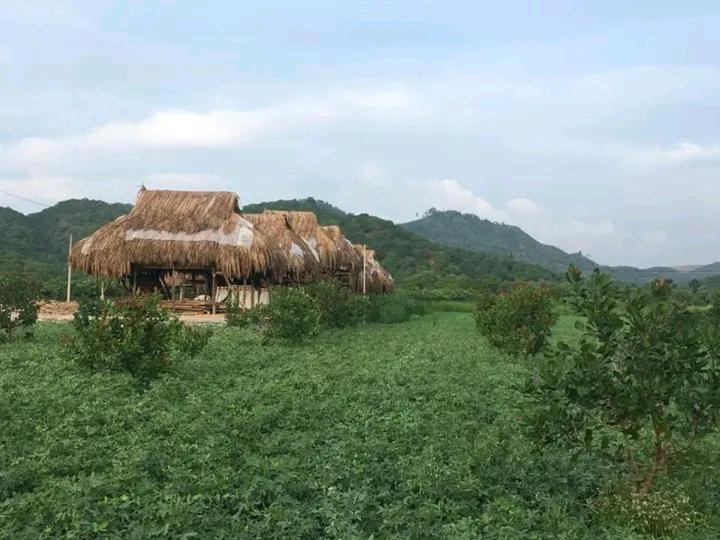Nhà Nghỉ Ven Sông Nam Cát Tiên