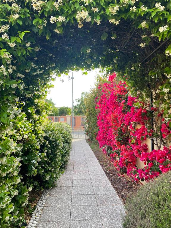 Bougainville