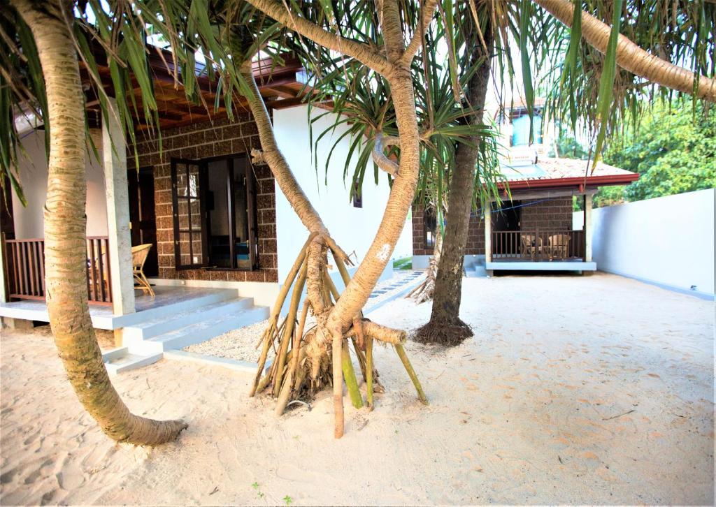 Sea Shell Villa Hikkaduwa - Ocean Front Villa