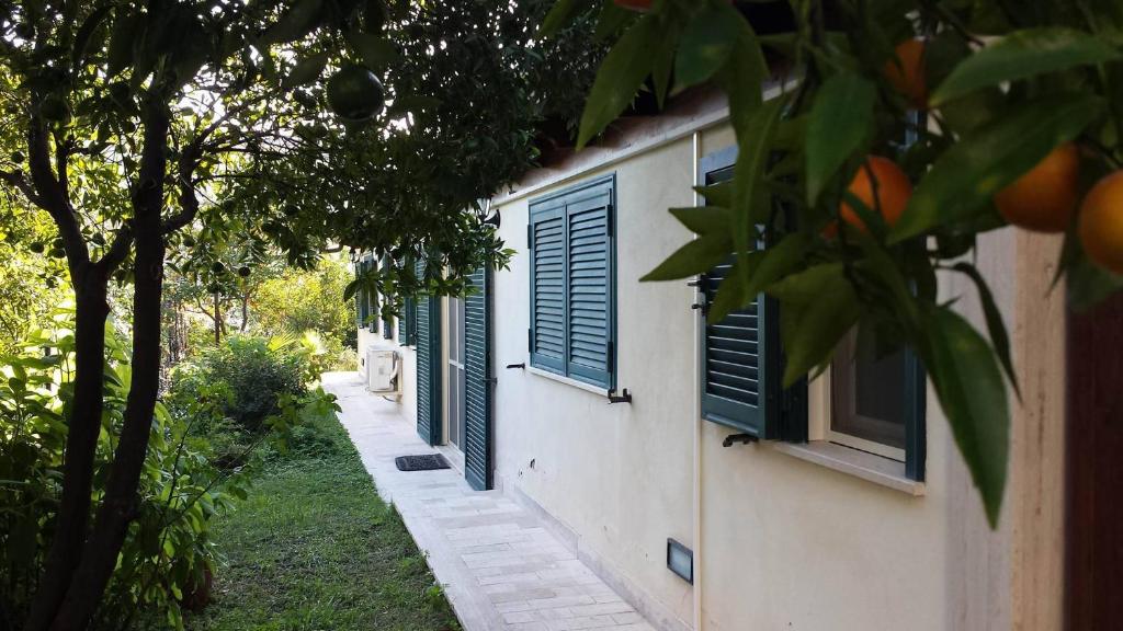 Villa François